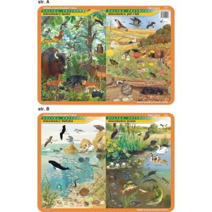 Podkładka edukacyjna Visual System Biologia, Polska Przyroda